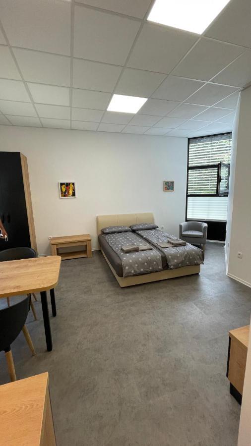 Simba Apartment B Smarjeske Toplice Exterior foto